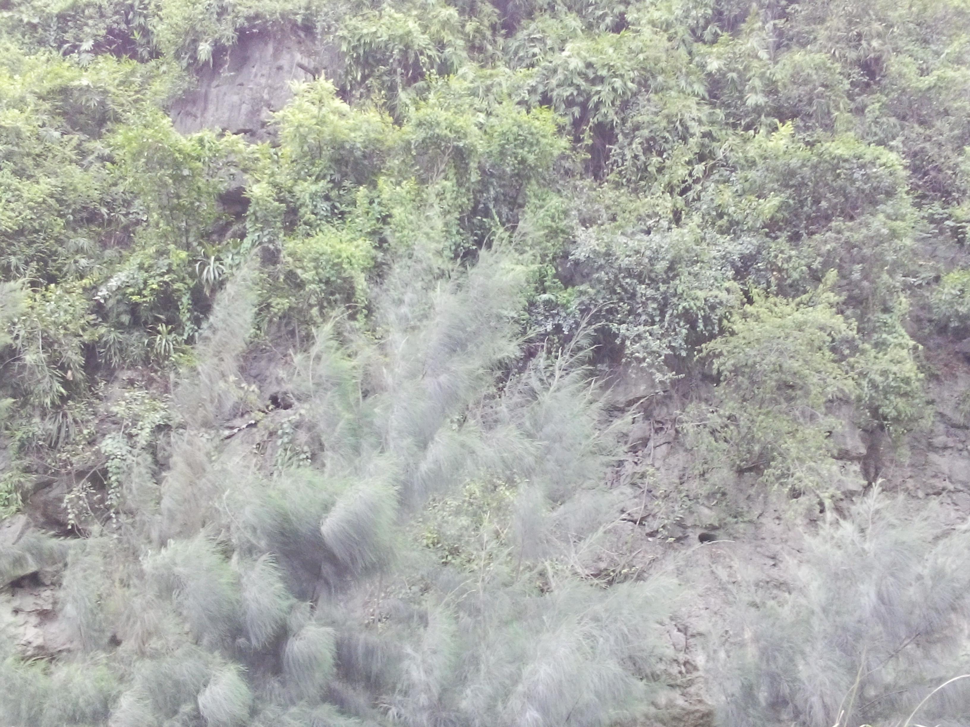 Bao giờ mới thoát khỏi cảnh ô nhiễm?